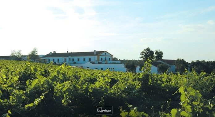 Foto: Wine Tourism in Portugal