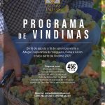 Programa_Vindimas_2021_adega_Vidigueira