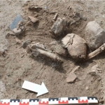 Figura-28-Cranio-e-ossos-longos-UE23-enquadrados-por-pedras-na-area-central-da-camara